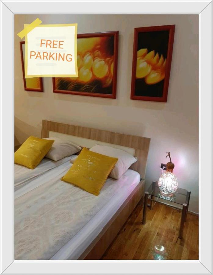 Dr Apartment Novi Sad