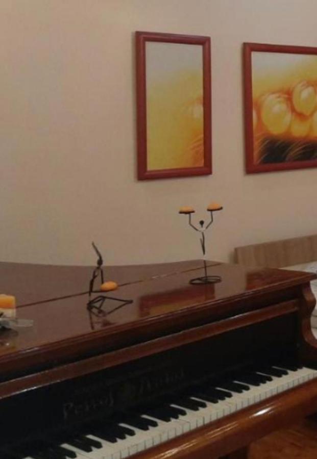 Dr Apartment Novi Sad